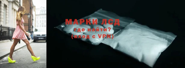 спайс Алзамай