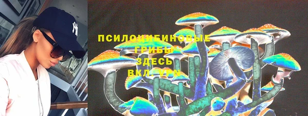 прущая мука Алексин