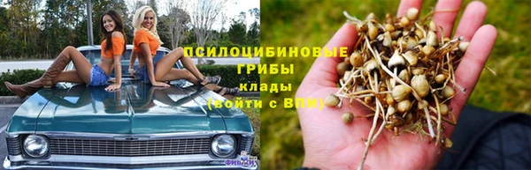 дурь Алексеевка
