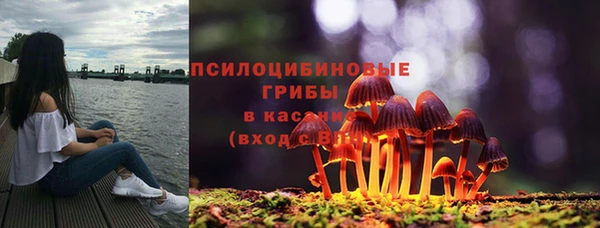 дурь Алексеевка