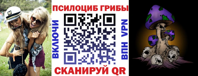 Галлюциногенные грибы Psilocybine cubensis  купить  сайты  Алексин 